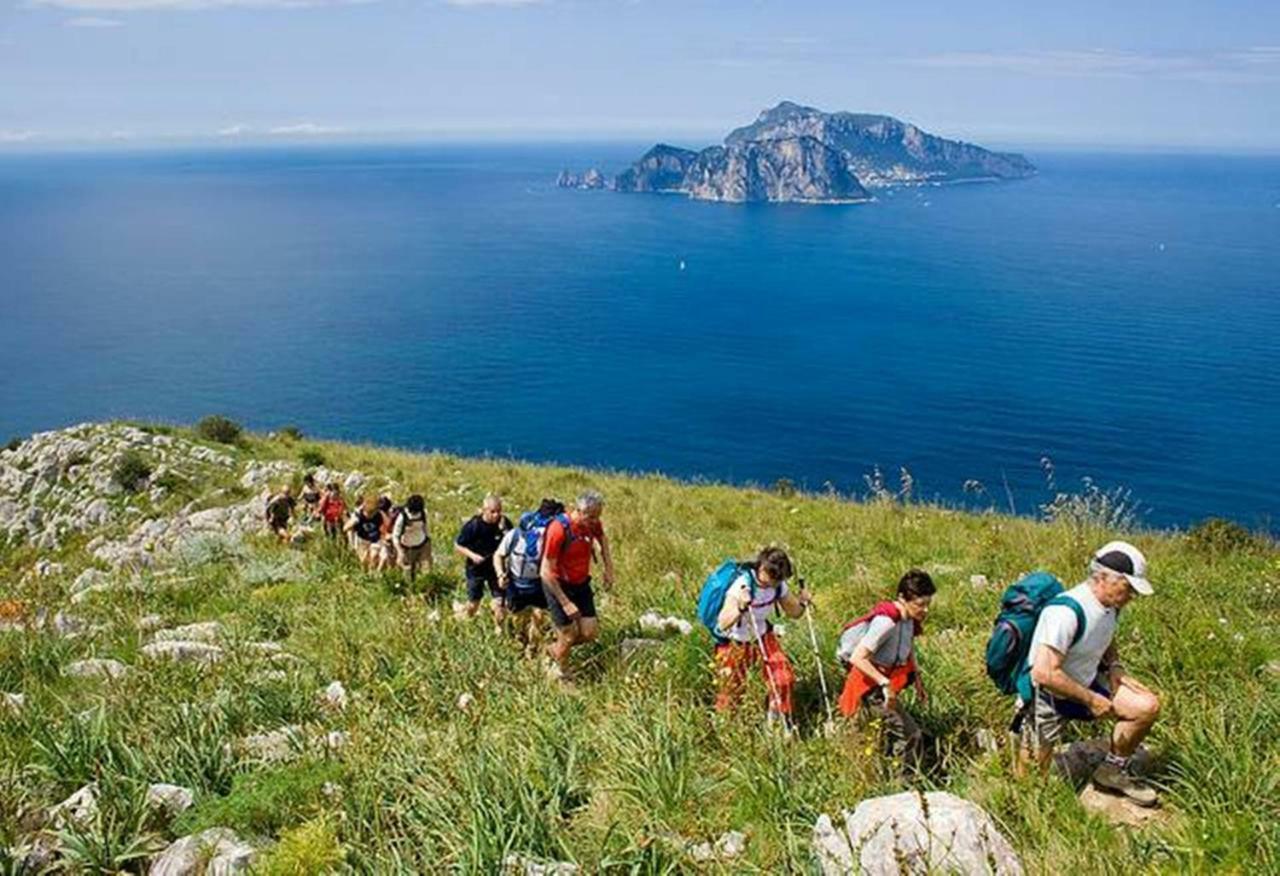 La Zagara Bianca Villa Massa Lubrense Kültér fotó